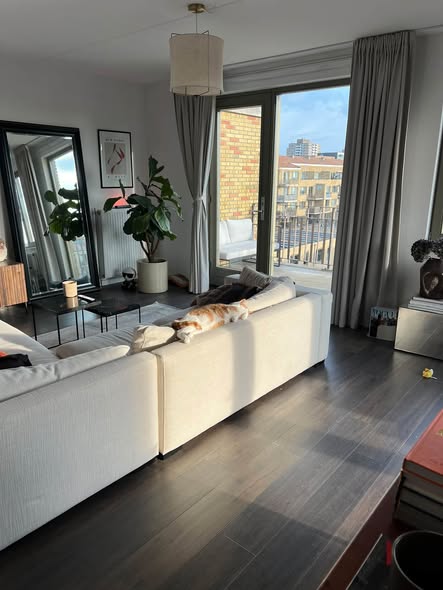 For rent: Amsterdam
