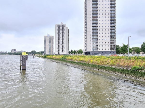Te huur: Rotterdam