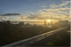 For rent: Rotterdam / €362 p.m. / 20m2