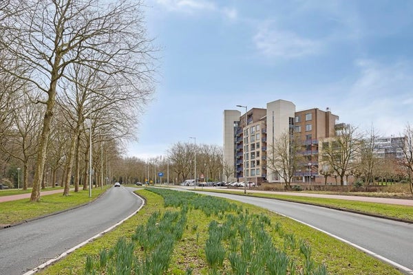 For rent: Amsterdam / €5500.00 p.m. / 197.00m2