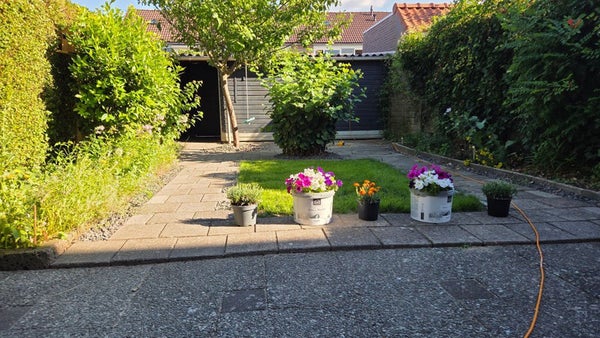 Te huur: Zevenaar