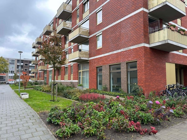 For rent: Groningen
