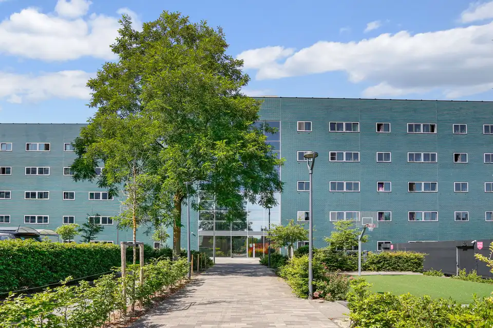 For rent: Delft