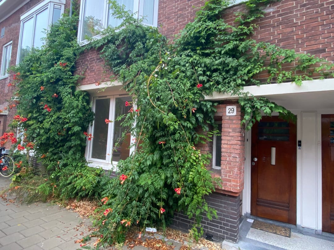 Te huur: Amsterdam / €2200 p.m. / 95m2