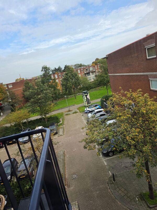 For rent: Rotterdam
