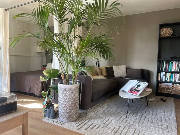 Te huur: Amsterdam / €710 p.m. / 30m2