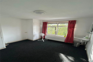 For rent: Groningen