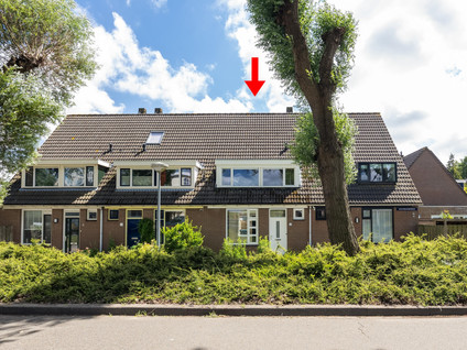 Te huur: Alkmaar