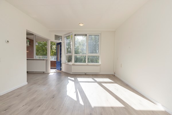 For rent: Amsterdam