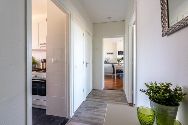 For rent: Utrecht