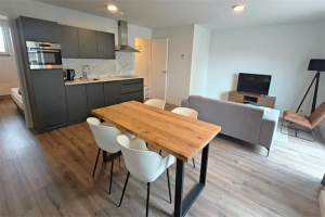 For rent: Eindhoven / €1550.00 p.m. / 52.00m2