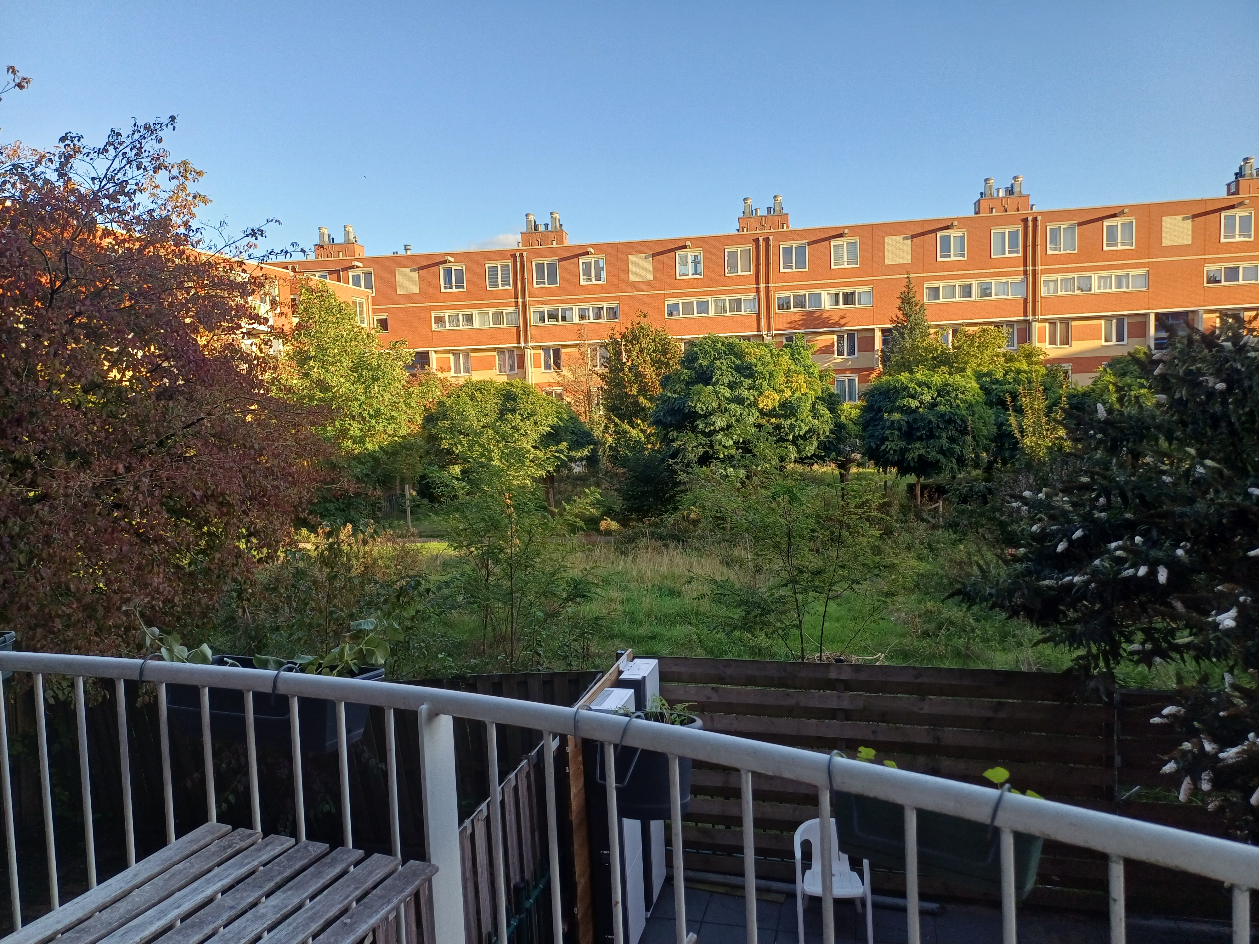 For rent: Amsterdam