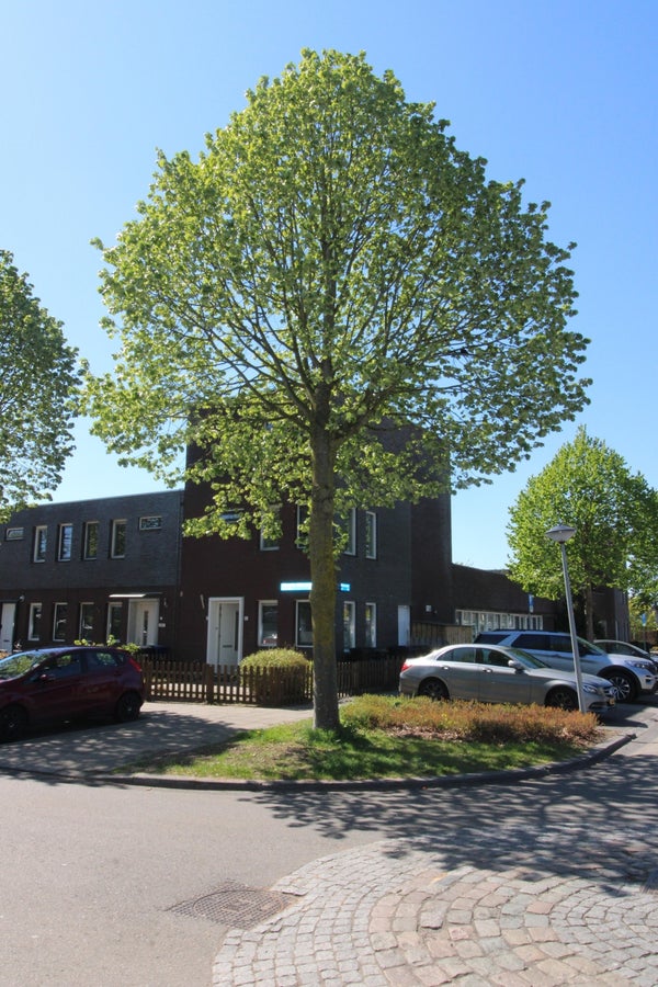 Te huur:  Almere  / €1995,00 p.m. / 83,00m2