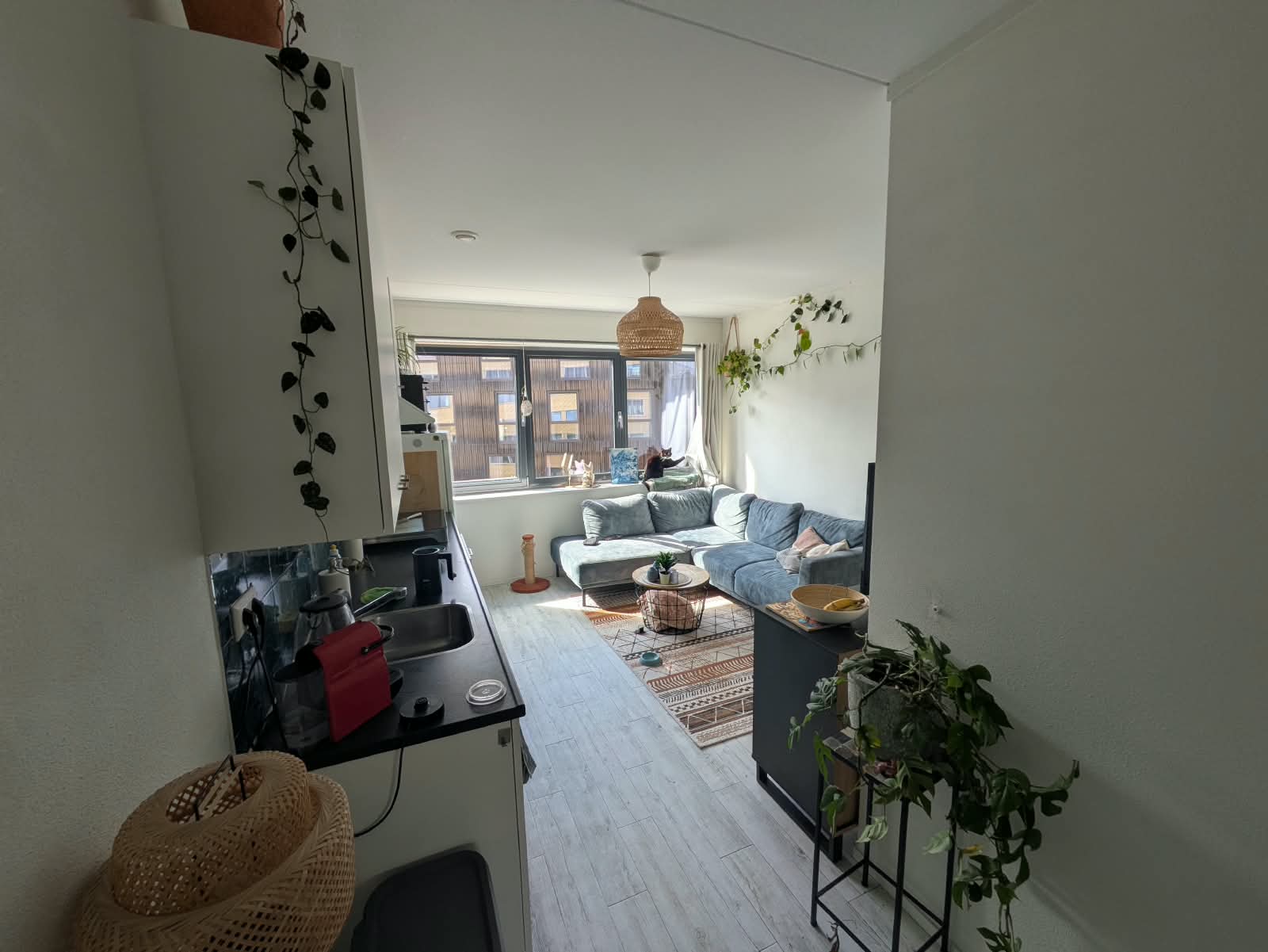 For rent: Utrecht / €906 p.m. / 37m2