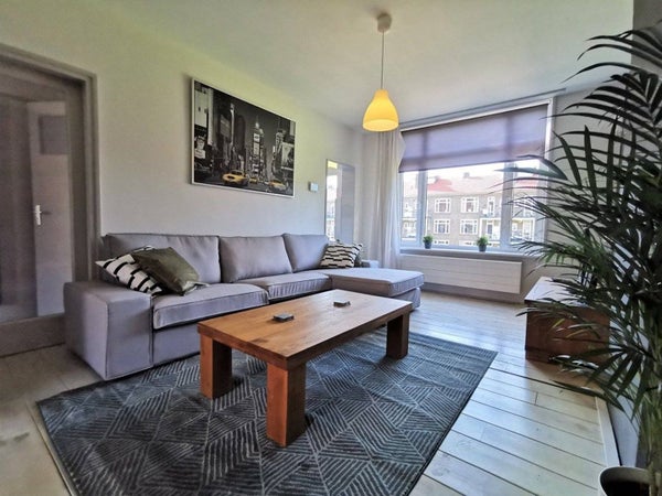 Te huur: Rotterdam