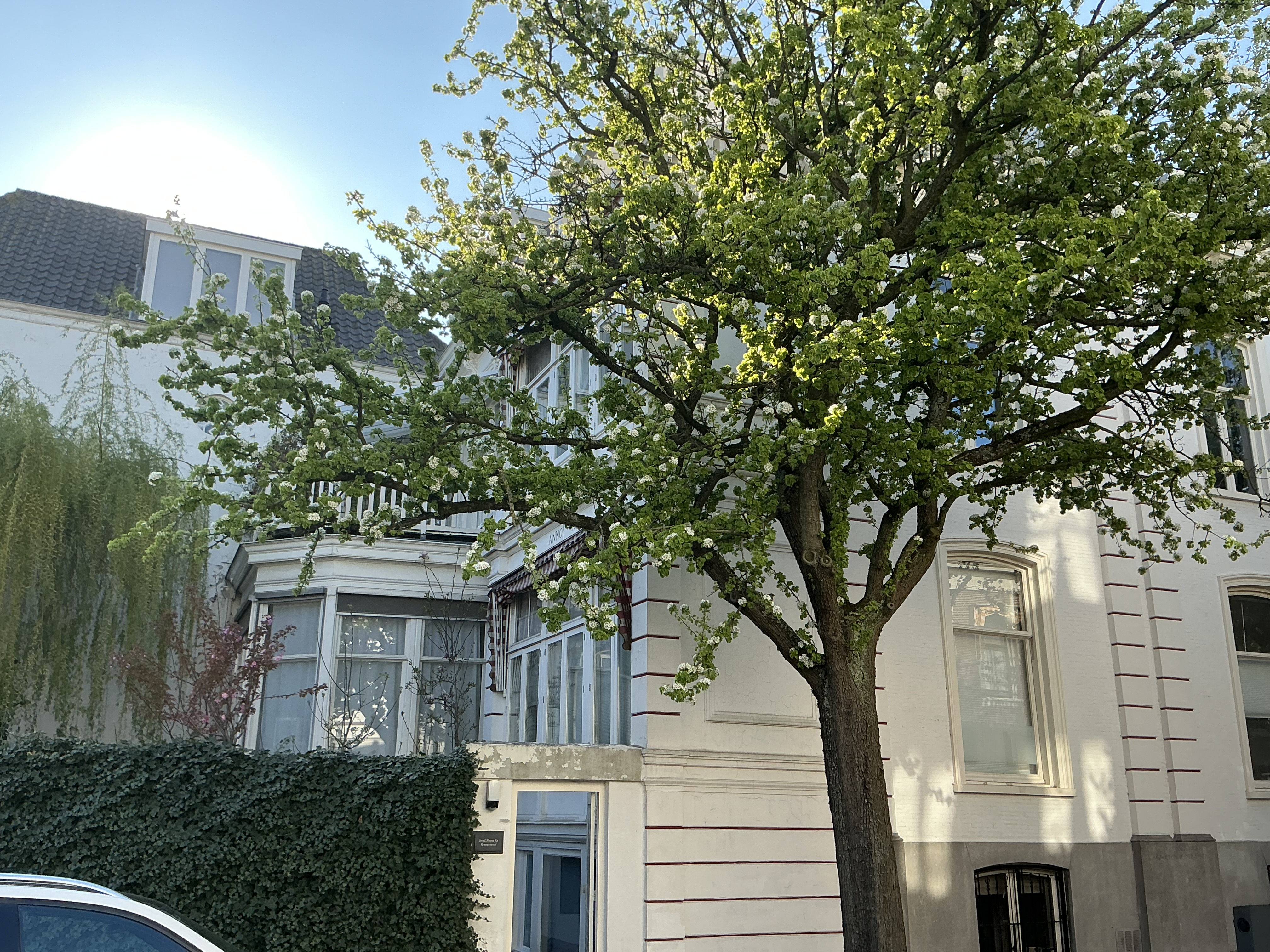 For rent: Den Haag / €950 p.m. / 17m2