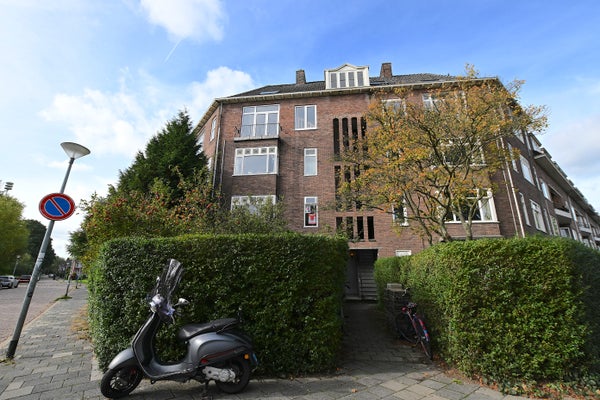 For rent: Groningen