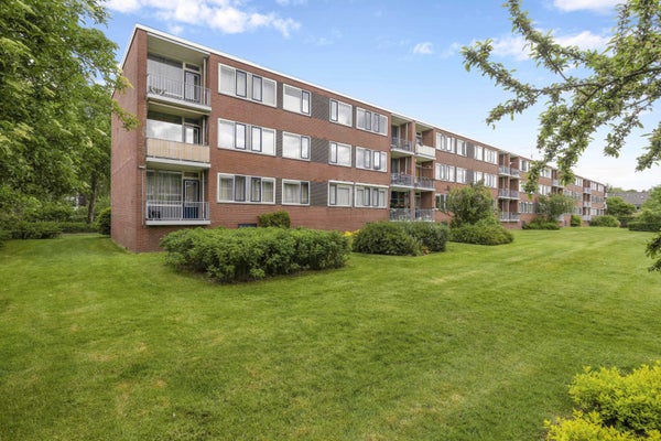 For rent: Groningen