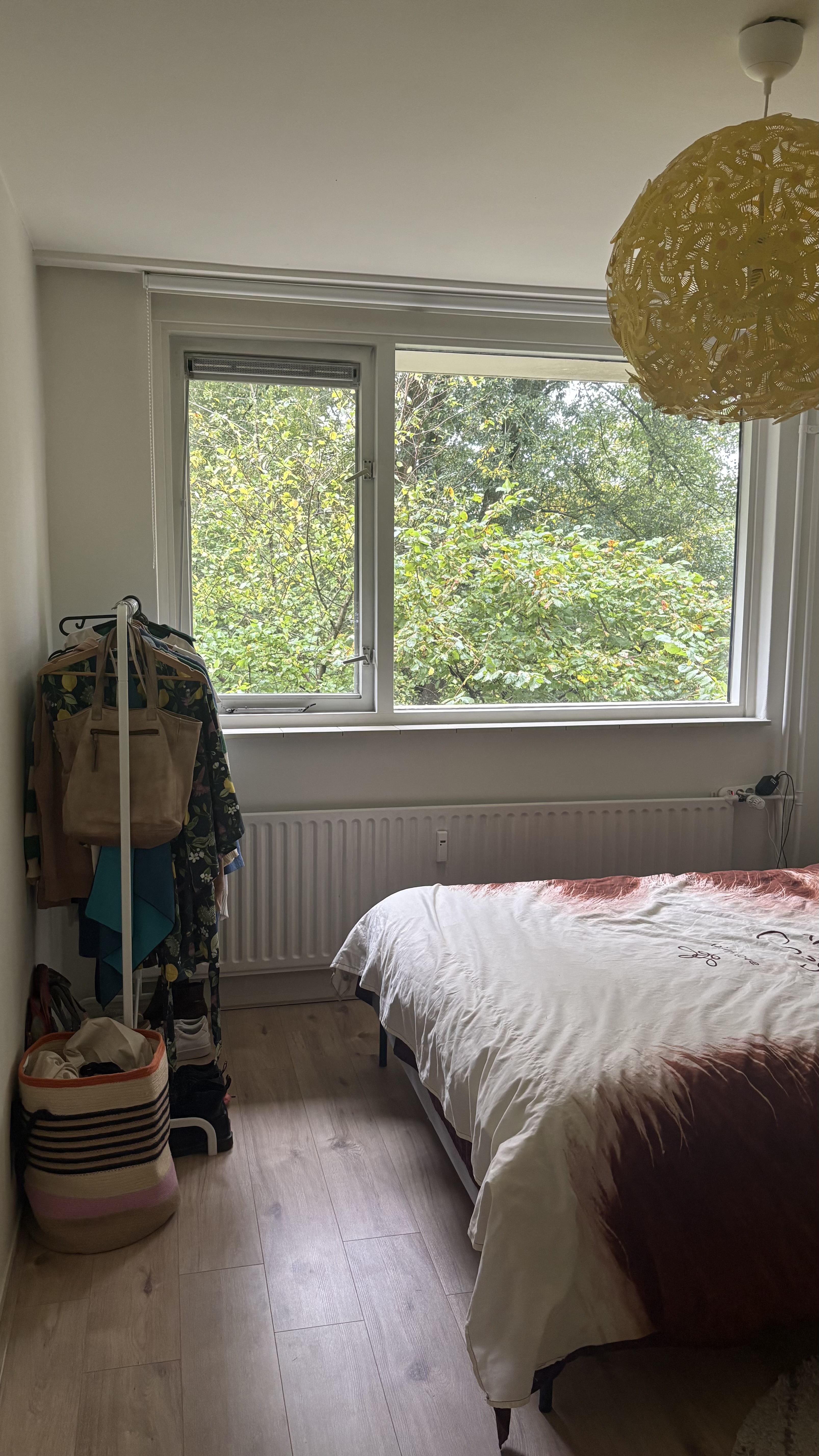 For rent: Groningen