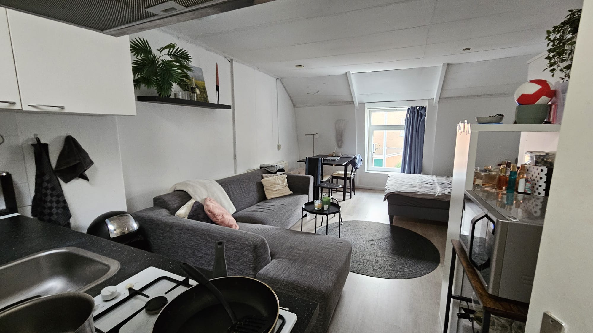 For rent: Groningen