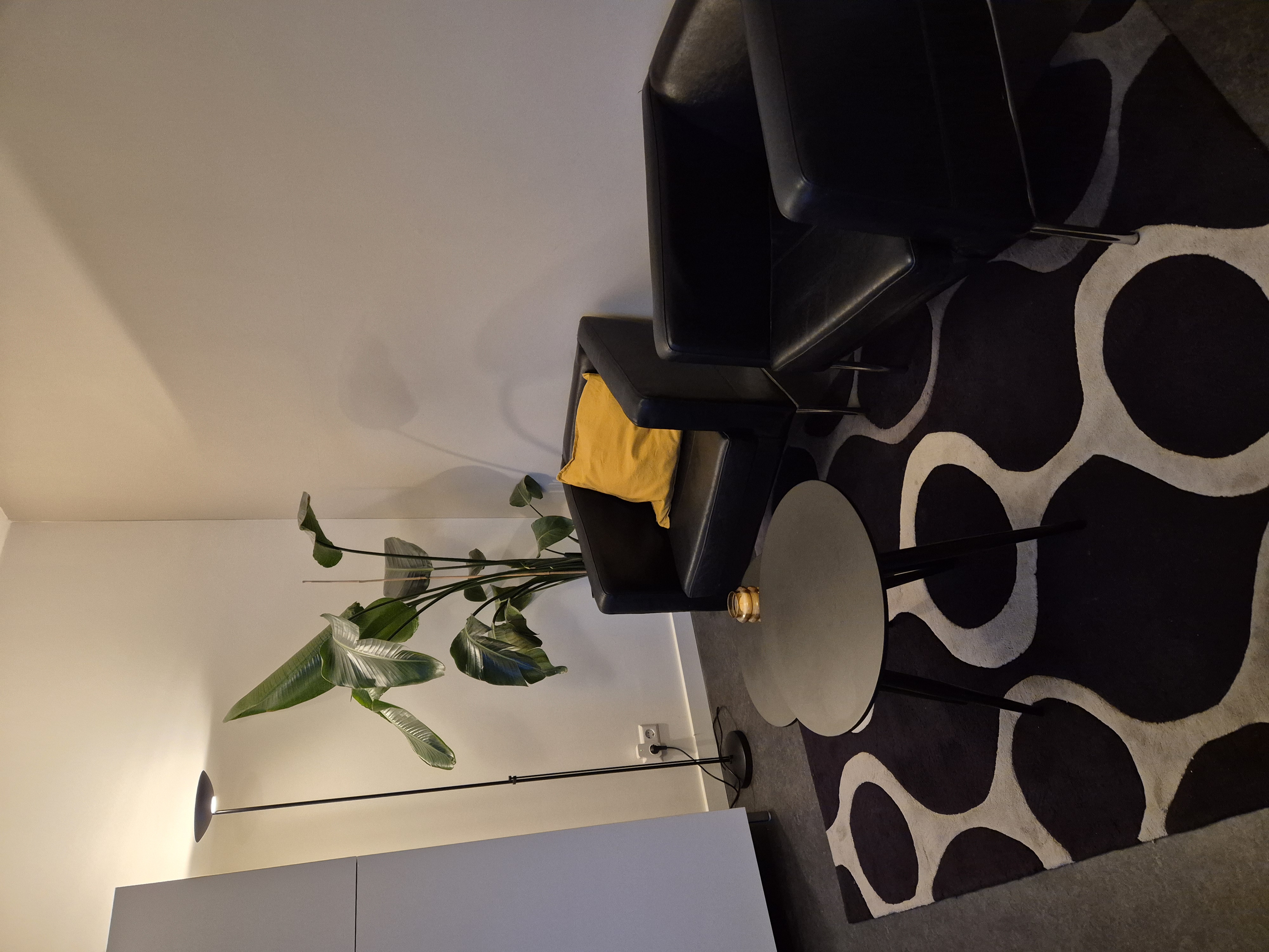 For rent: Utrecht / €730.00 p.m. / 18.00m2