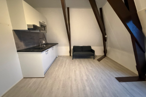 Te huur: Groningen / €445,00 p.m. / 13,00m2