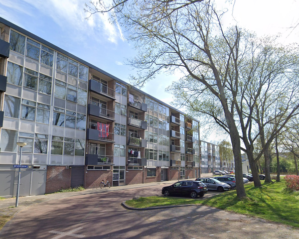 Te huur: Alkmaar
