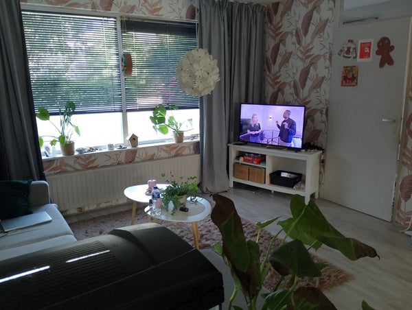 For rent: Purmerend