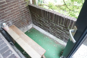 For rent: Rotterdam