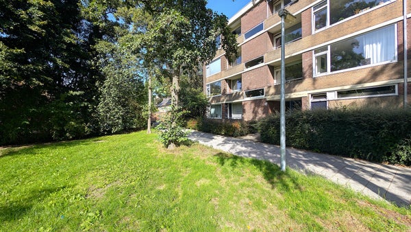 For rent: Groningen
