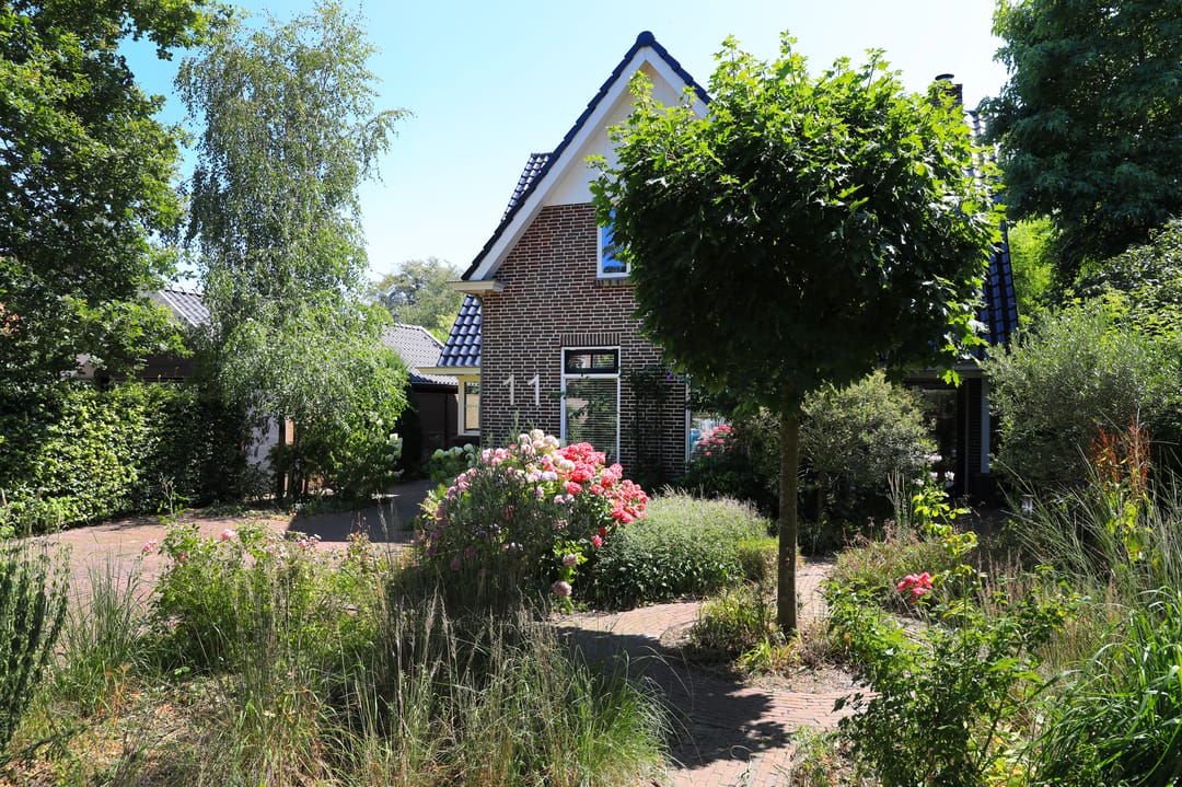 Te huur: Groet