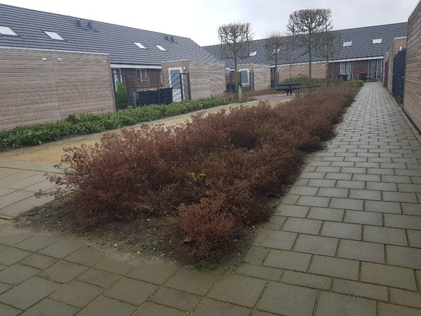 Te huur: Ter Aar / €940,00 p.m. / 89,00m2