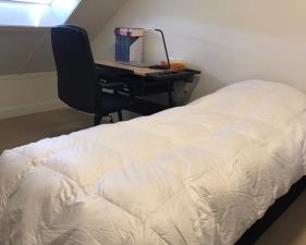 For rent: Siddeburen