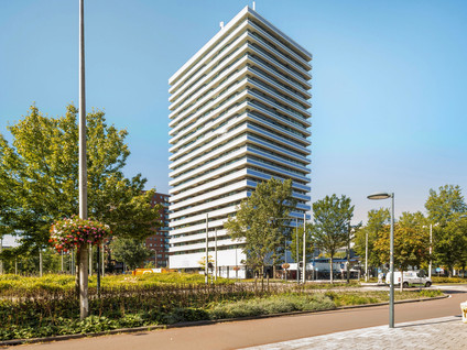 For rent: Delft