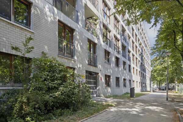 For rent: Amsterdam