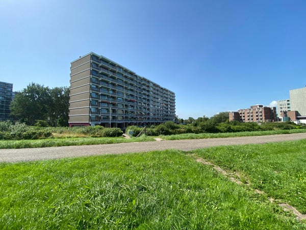 For rent: Terneuzen / €8501090 p.m. / 49m2