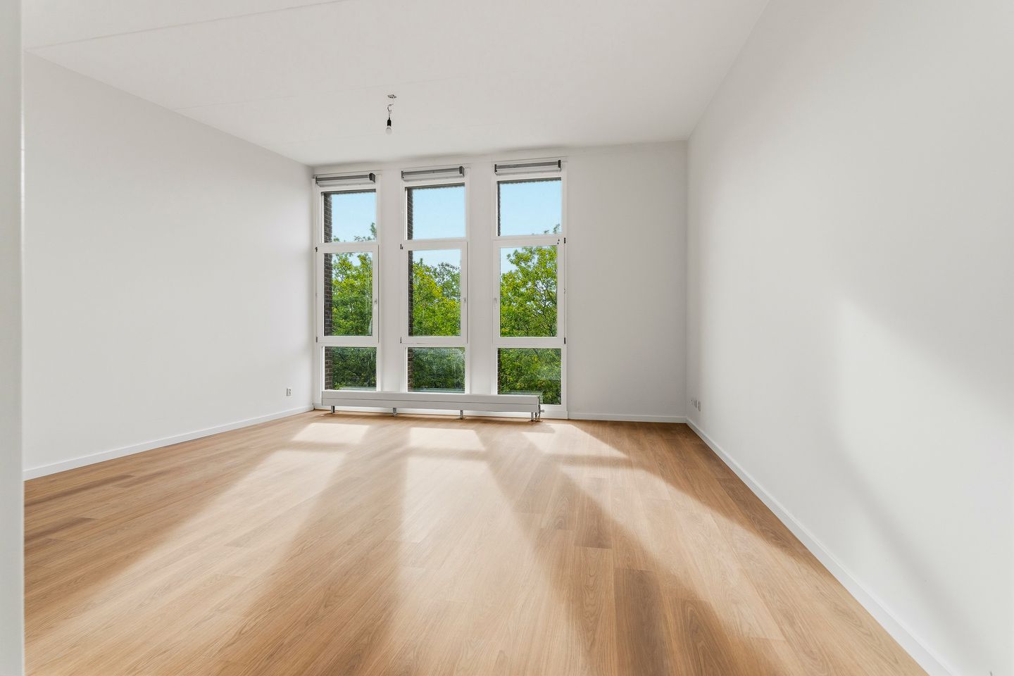 For rent: Amsterdam