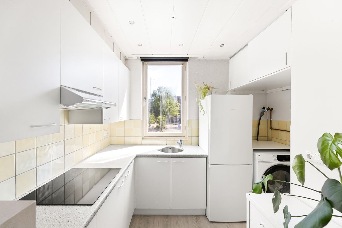 For rent: Vlissingen / €550 p.m. / 37m2