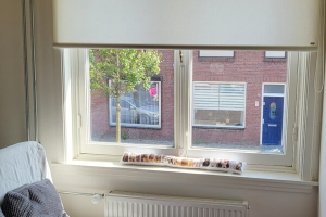 Te huur: Tilburg / €520,00 p.m. / 13,00m2