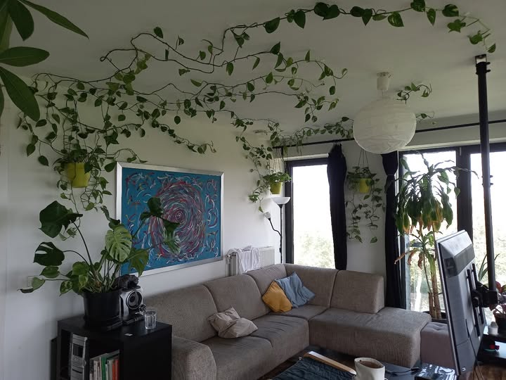 For rent: Amsterdam