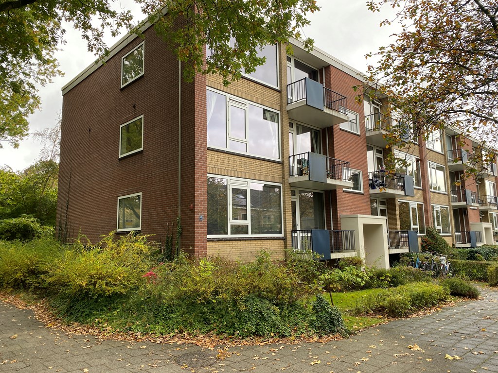 Te huur: Groningen