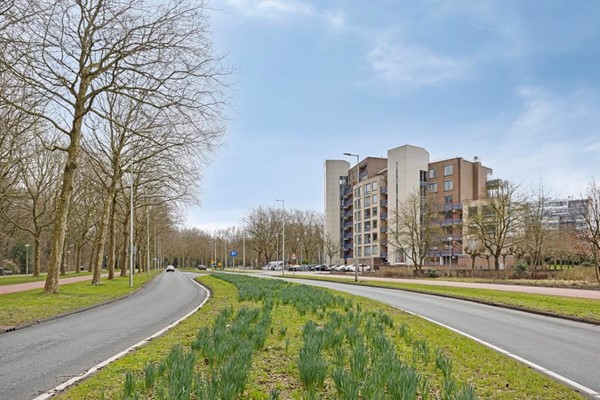 For rent: Amsterdam / €5500.00 p.m. / 197.00m2