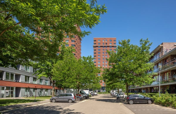 Te huur: Eindhoven
