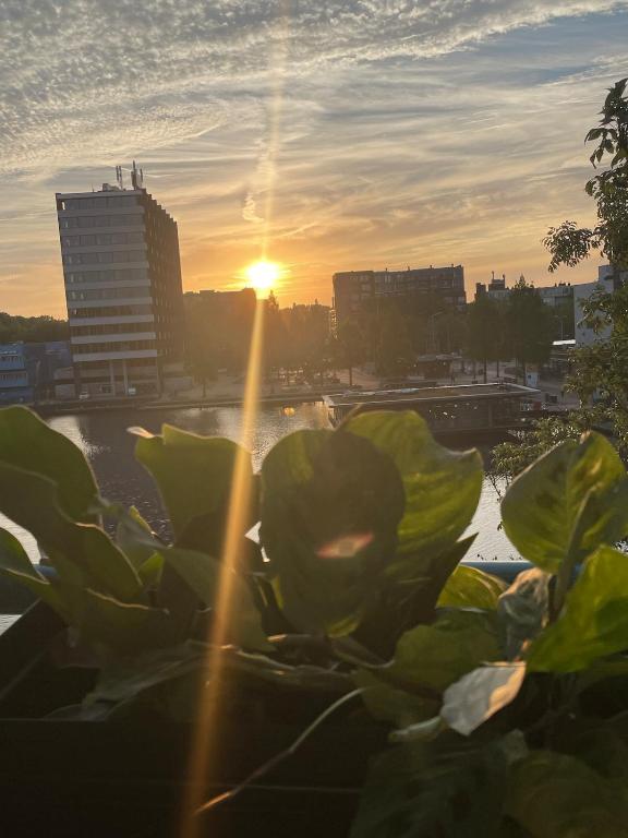 Te huur: Amsterdam / €2399 p.m. / 105m2