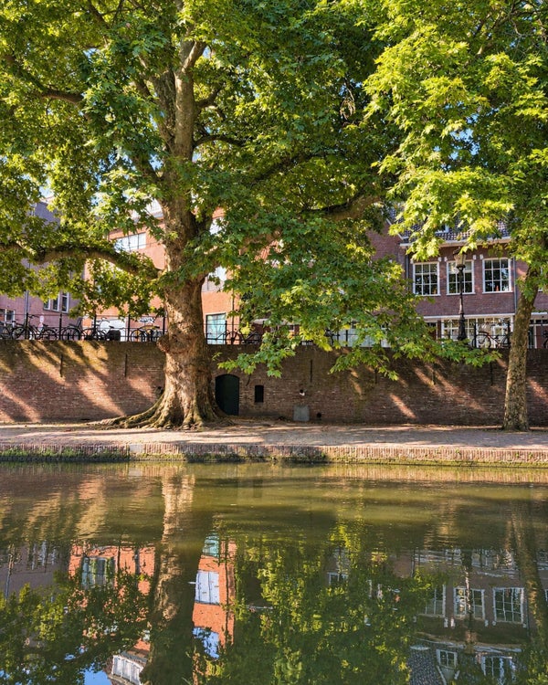 For rent: Utrecht