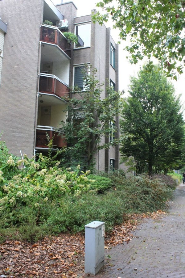 Te huur: Veldhoven