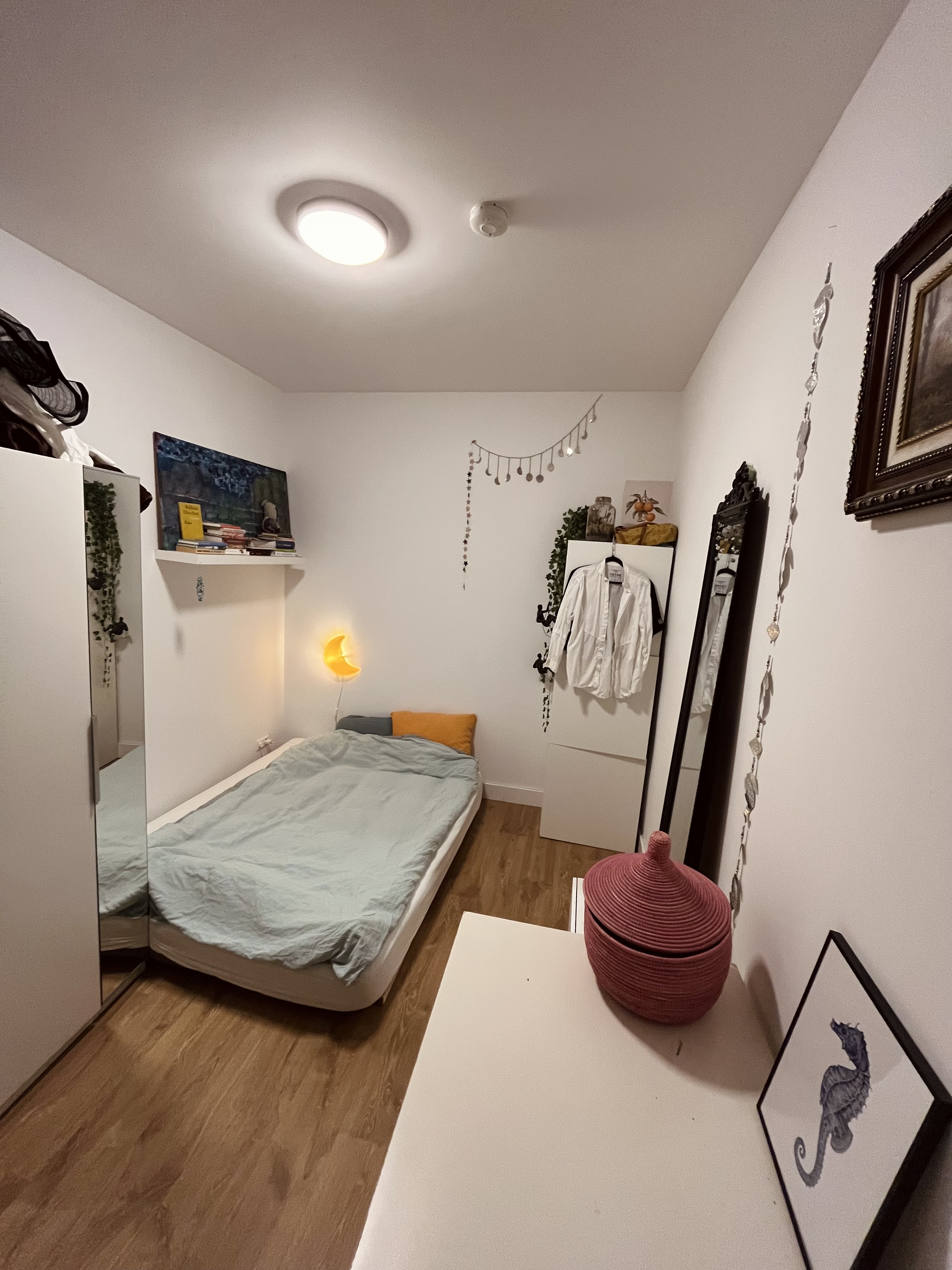 Te huur: Rotterdam / €740,00 p.m. / 11,00m2