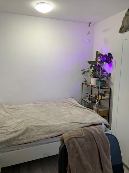 For rent: Amsterdam