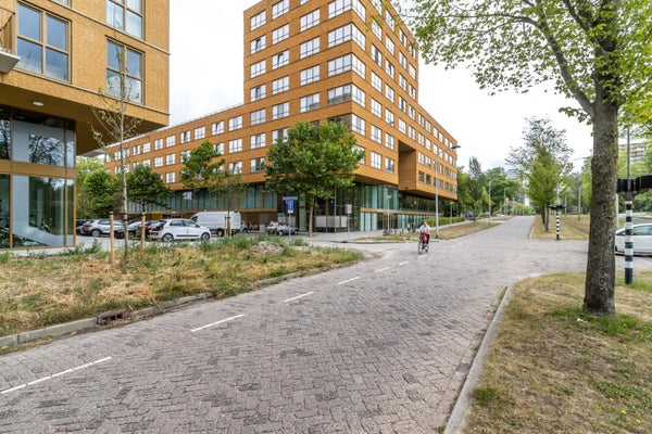 For rent: Delft