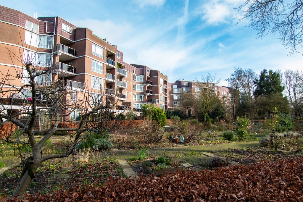 For rent: Amsterdam